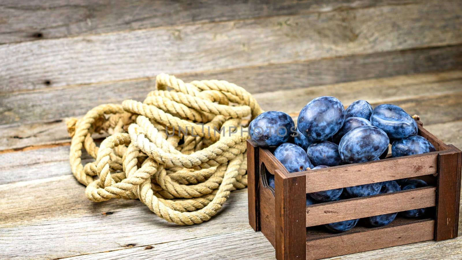 Ripe blue plums in a wooden crate in a rustic composition.
