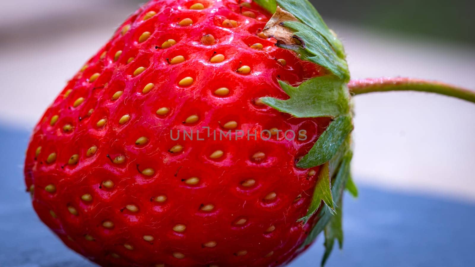 Close up of fresh strawberry showing seeds achenes. Details of a fresh ripe red strawberry.