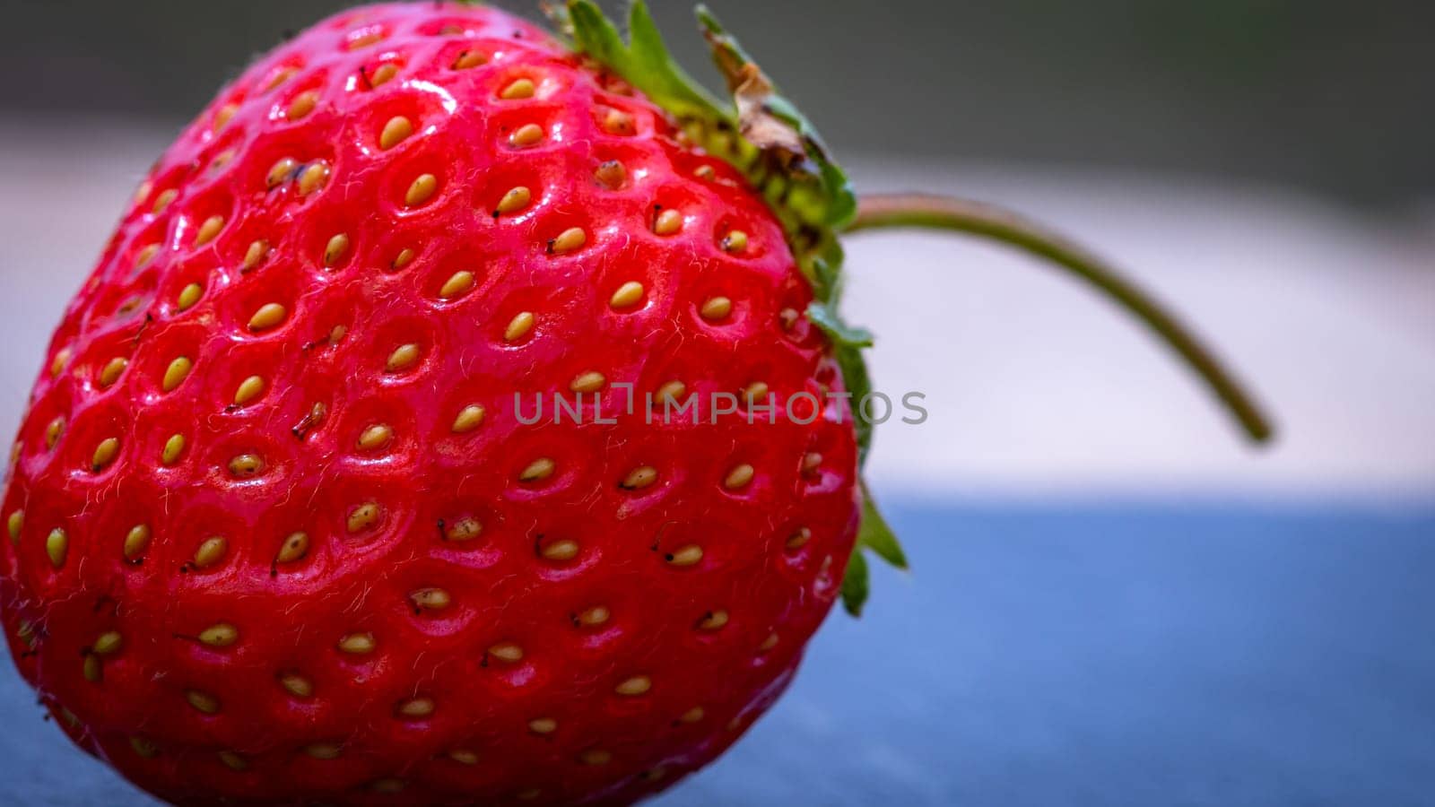 Close up of fresh strawberry showing seeds achenes. Details of a fresh ripe red strawberry.