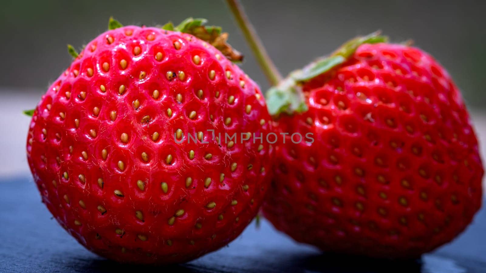 Close up of fresh strawberries showing seeds achenes. Details of fresh ripe red strawberries.