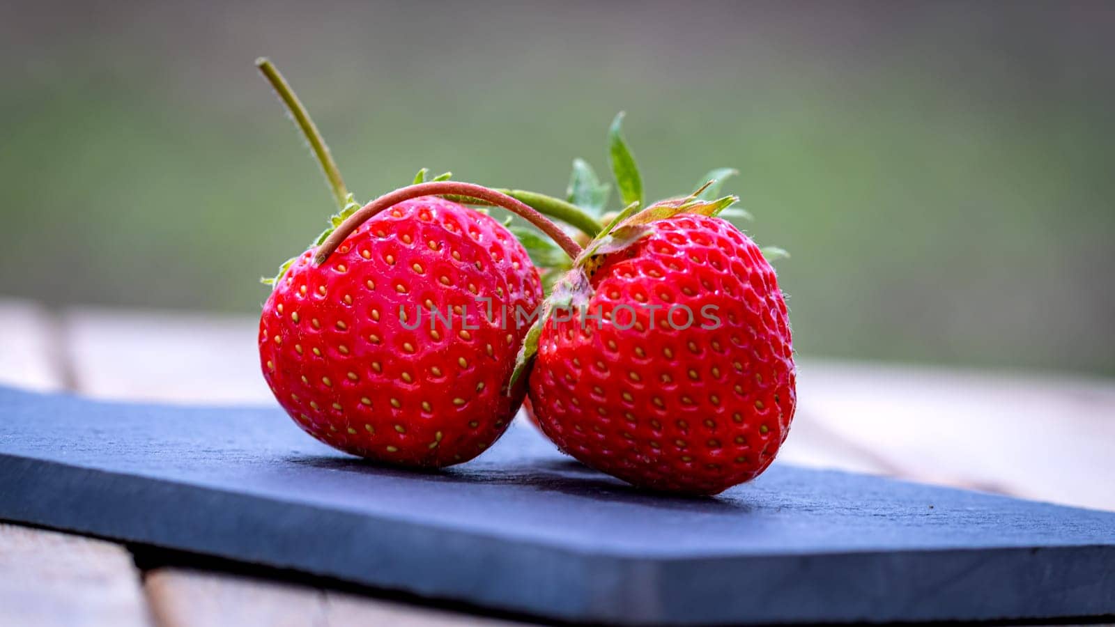 Close up of two strawberries on small black cutting board isolated outdoor on wooden table.