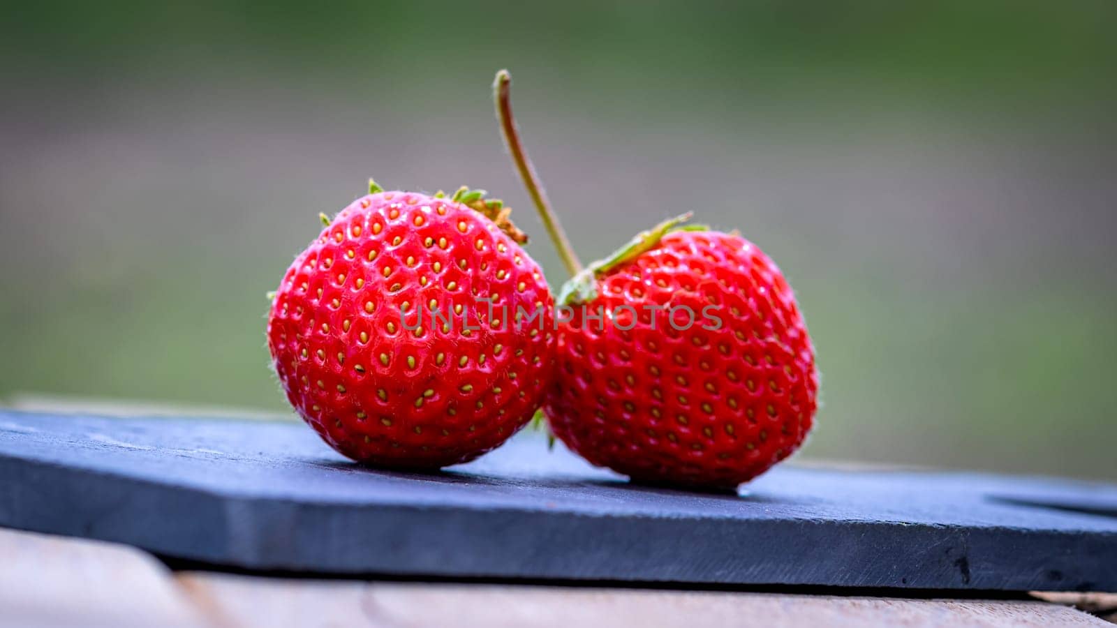 Close up of fresh strawberries showing seeds achenes. Details of fresh ripe red strawberries.