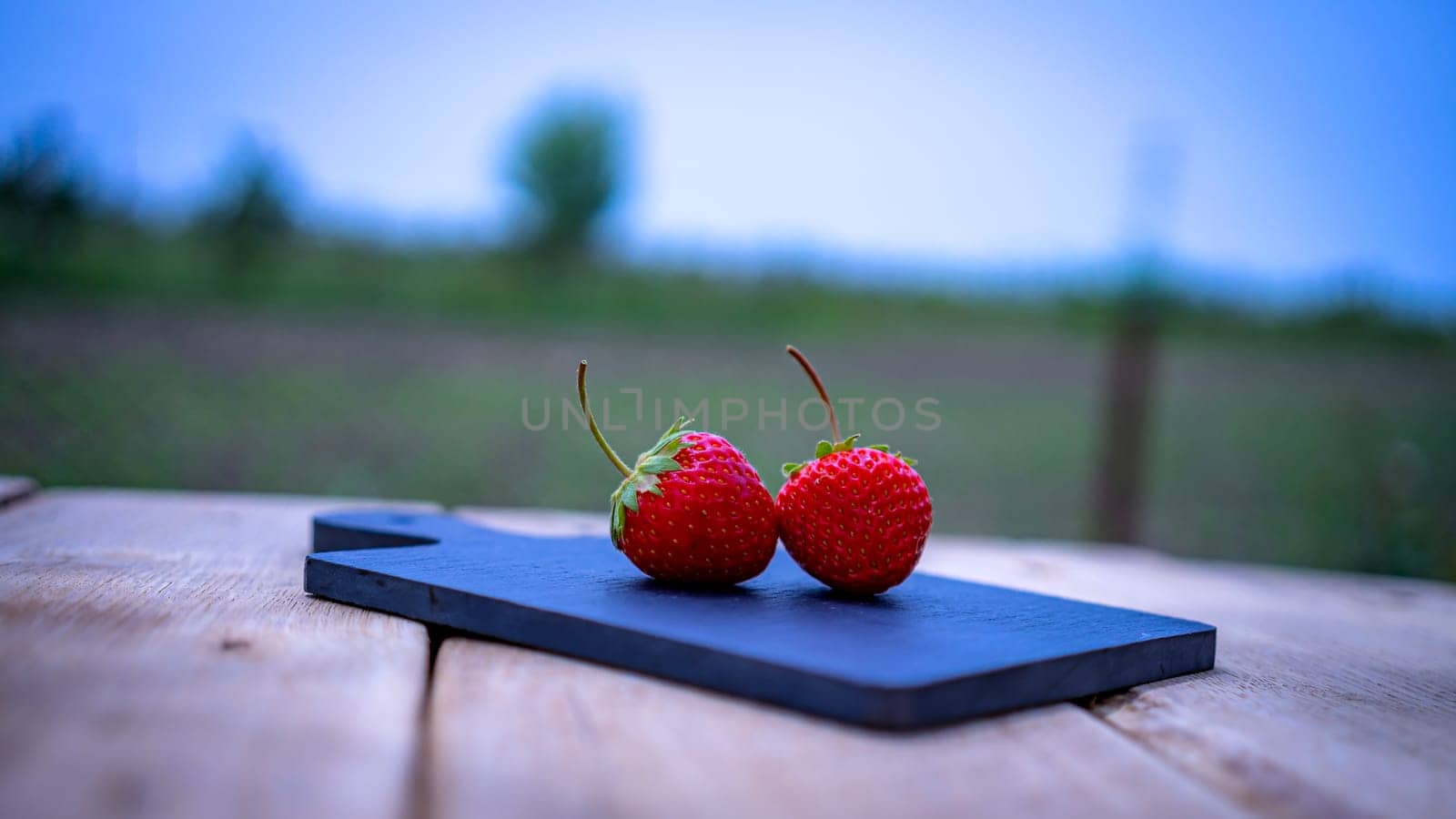 Close up of two strawberries on small black cutting board isolated outdoor on wooden table. by vladispas