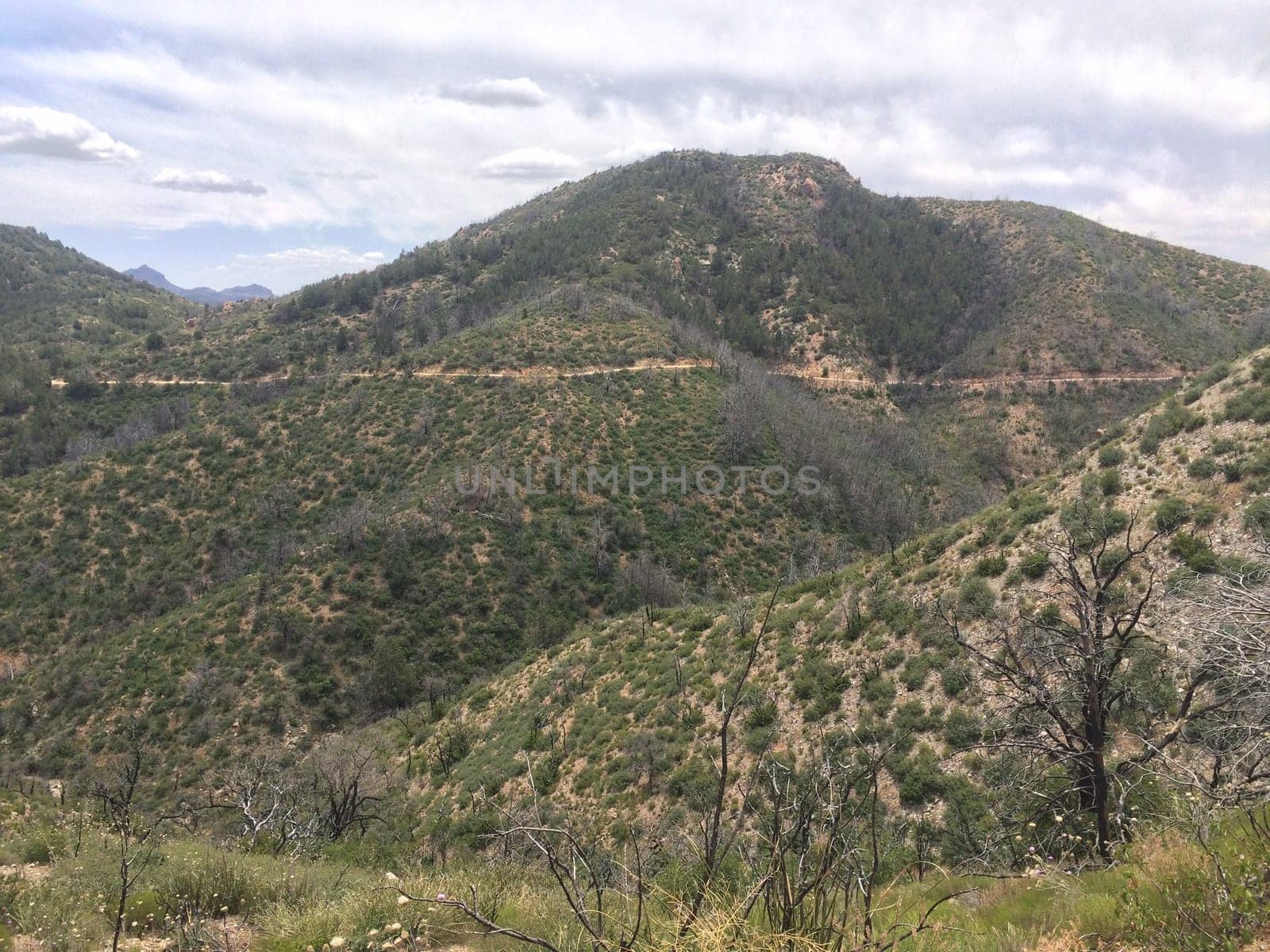 View of an Old Shelf Road Cut into a Mountainside in Arizona by grumblytumbleweed