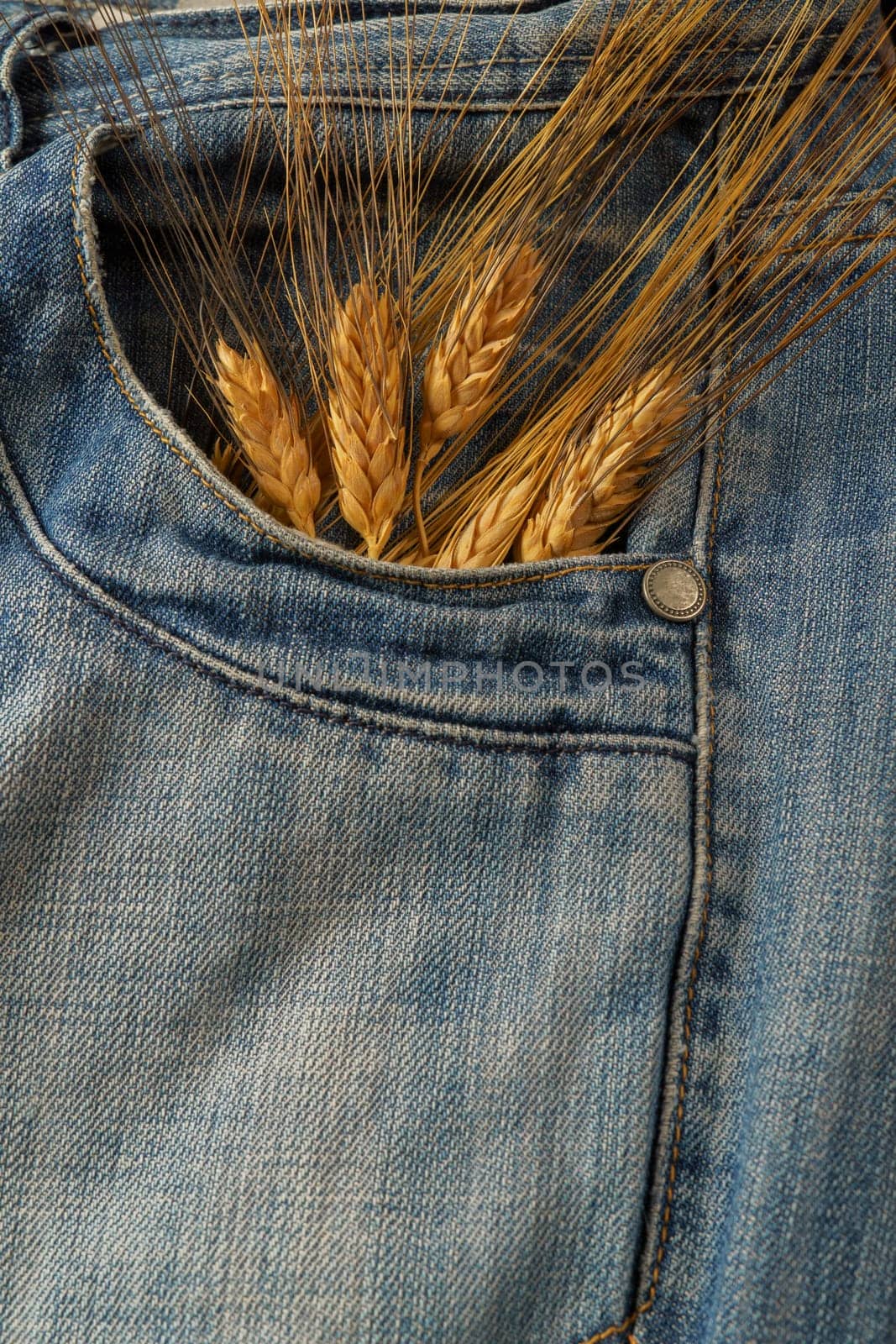 jeans with ears of wheat coming out of the pocket by joseantona