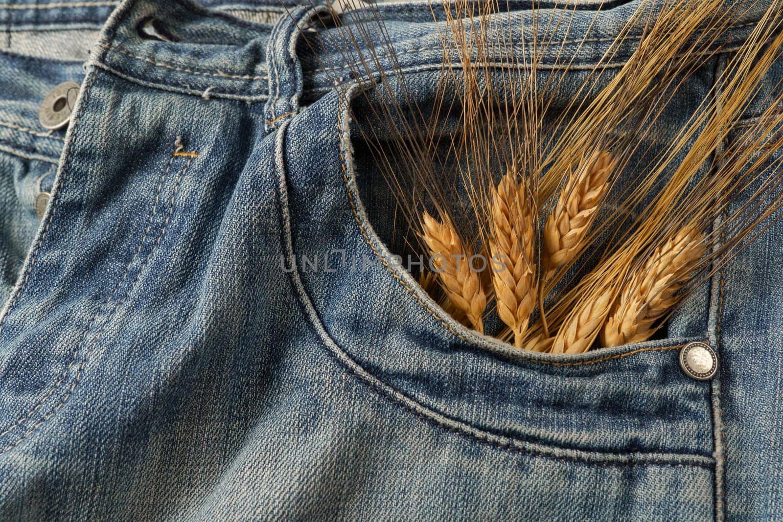 ears of wheat coming out of a jeans pocket by joseantona