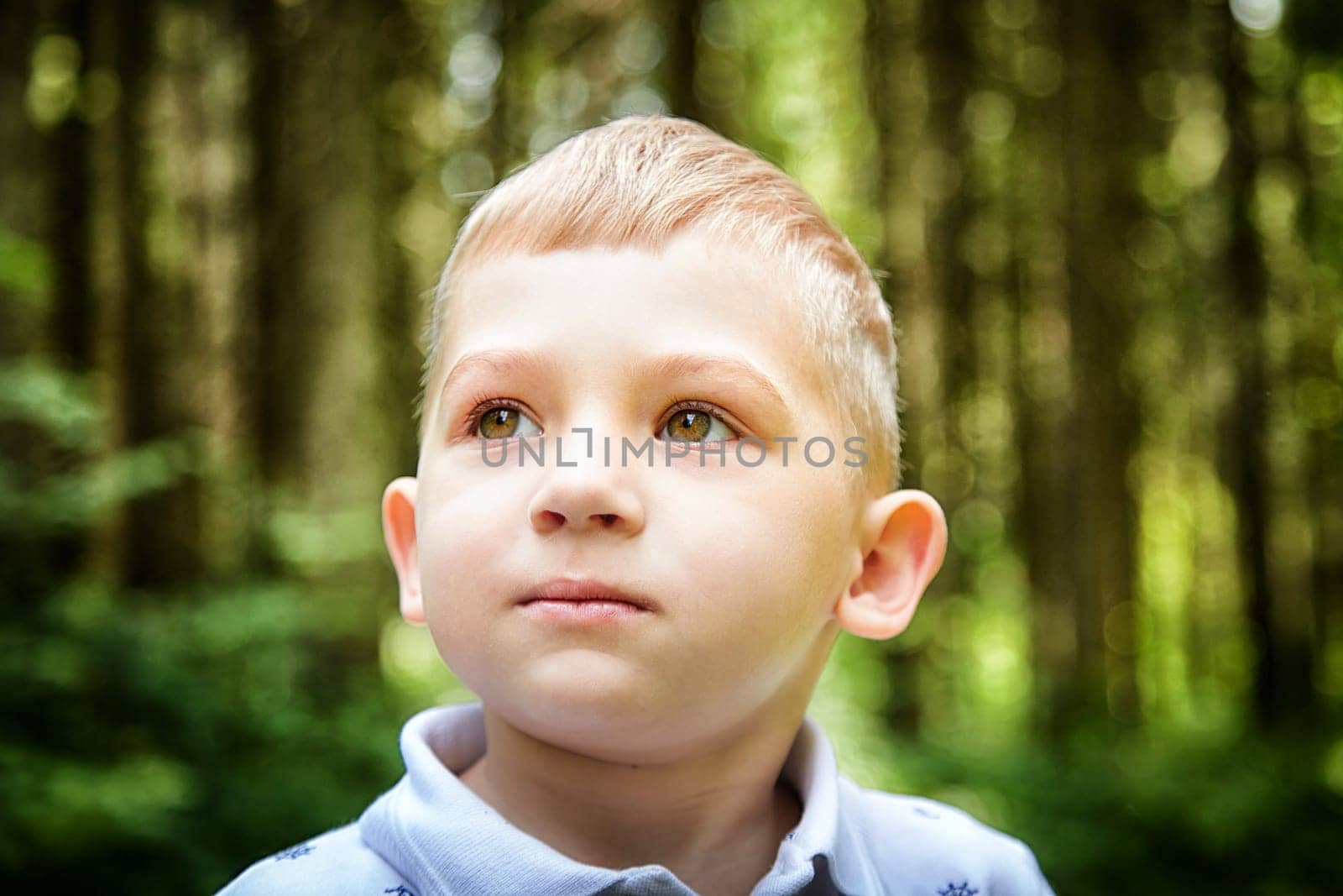 Young Boy in Sunlit Forest. Cute child bathed in dappled sunlight among trees. Walk, rest and nature