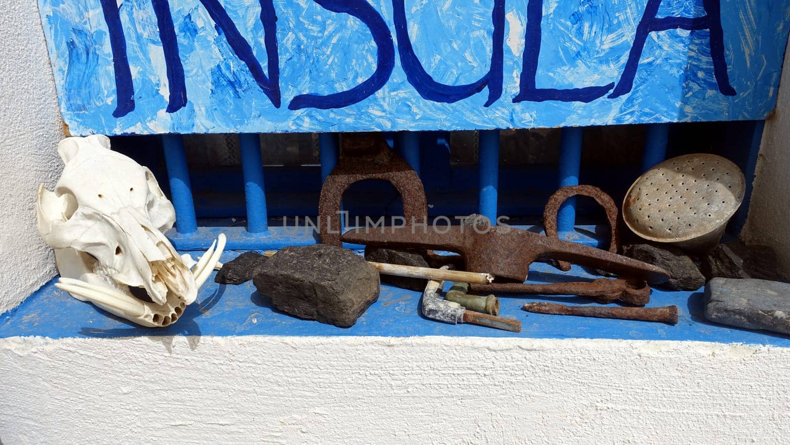 Asinara, Italy. August 11, 2021. A boar skull and some ancient tools on a window of the prison museum on the hill of the island.