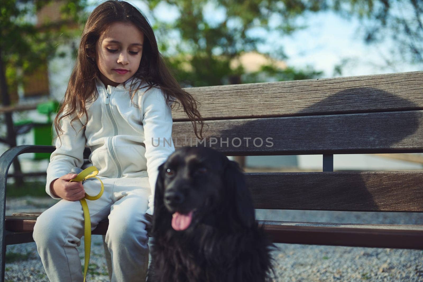 Portrait of a cute little child girl and her pet, cocker spaniel on the bench outdoors. Cute kid taking her dog for a walk on the nature. Children and animals. The concept of love, care and empathy