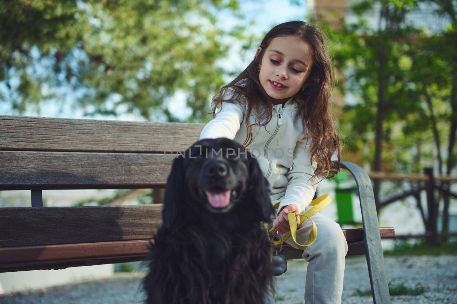 Lovely little kid girl 5-7 years old, sitting on bench and stroking her black cocker spaniel dog while walking it on leash. Playing pets. The concept of love, care and empathy for domestic animals