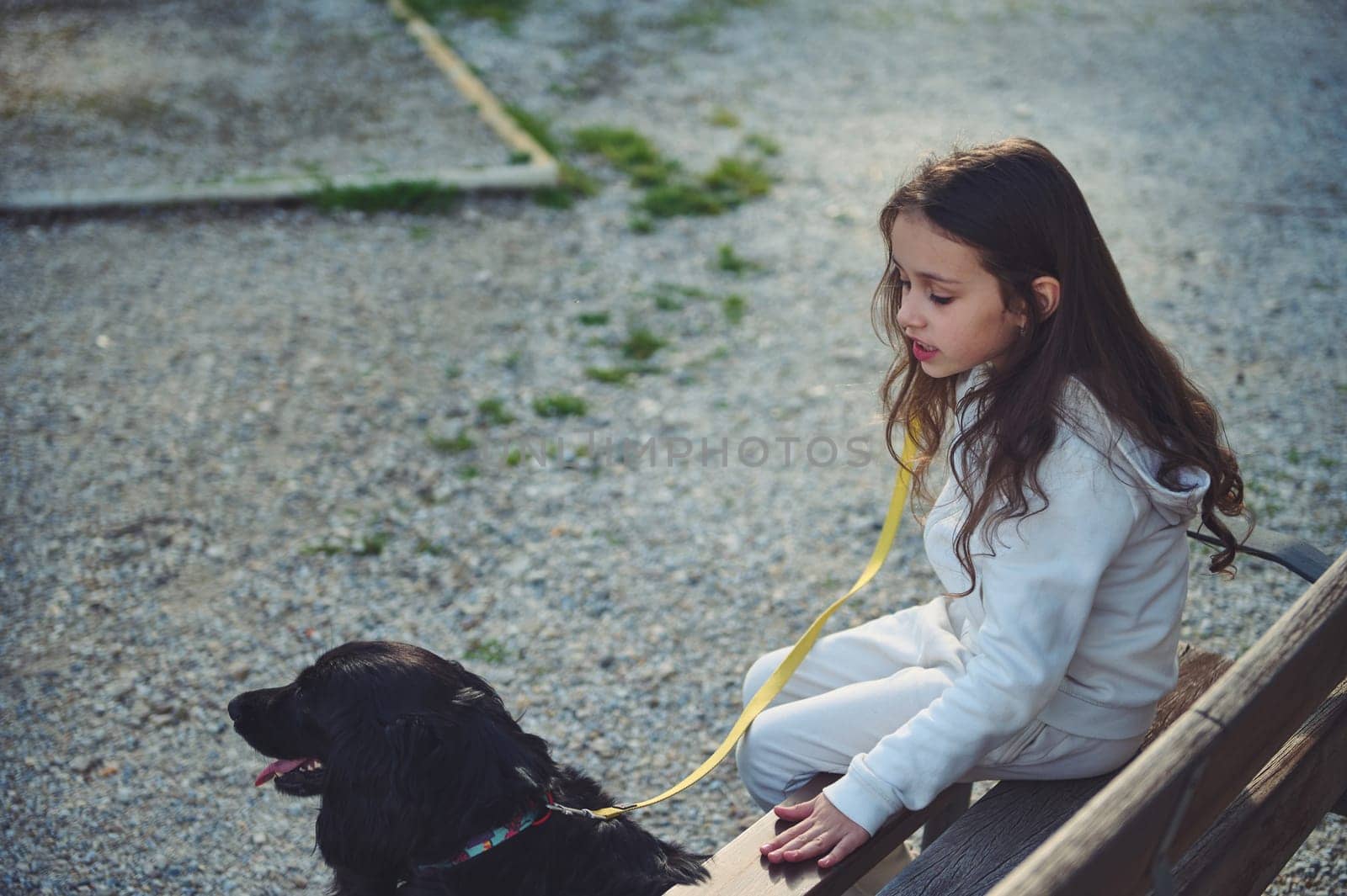 Side portrait from above of little child nd her dog on the city bench in the nature outdoors. Cute child walking her dog on leash by artgf