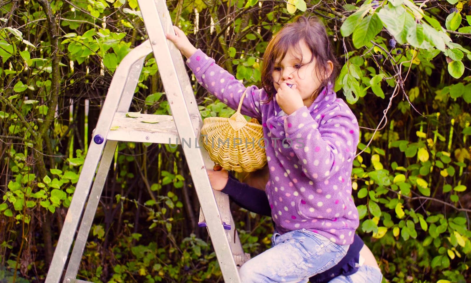 Autumn garden. Little girl climbing up a ladder