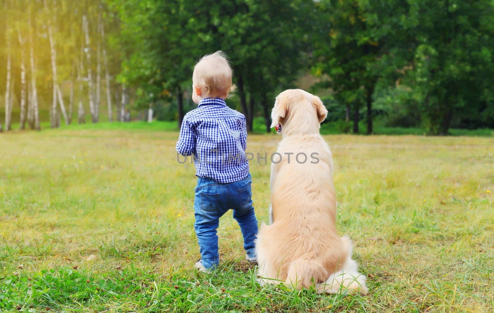 Child and Golden Retriever dog obedient sitting together in summer park by Rohappy