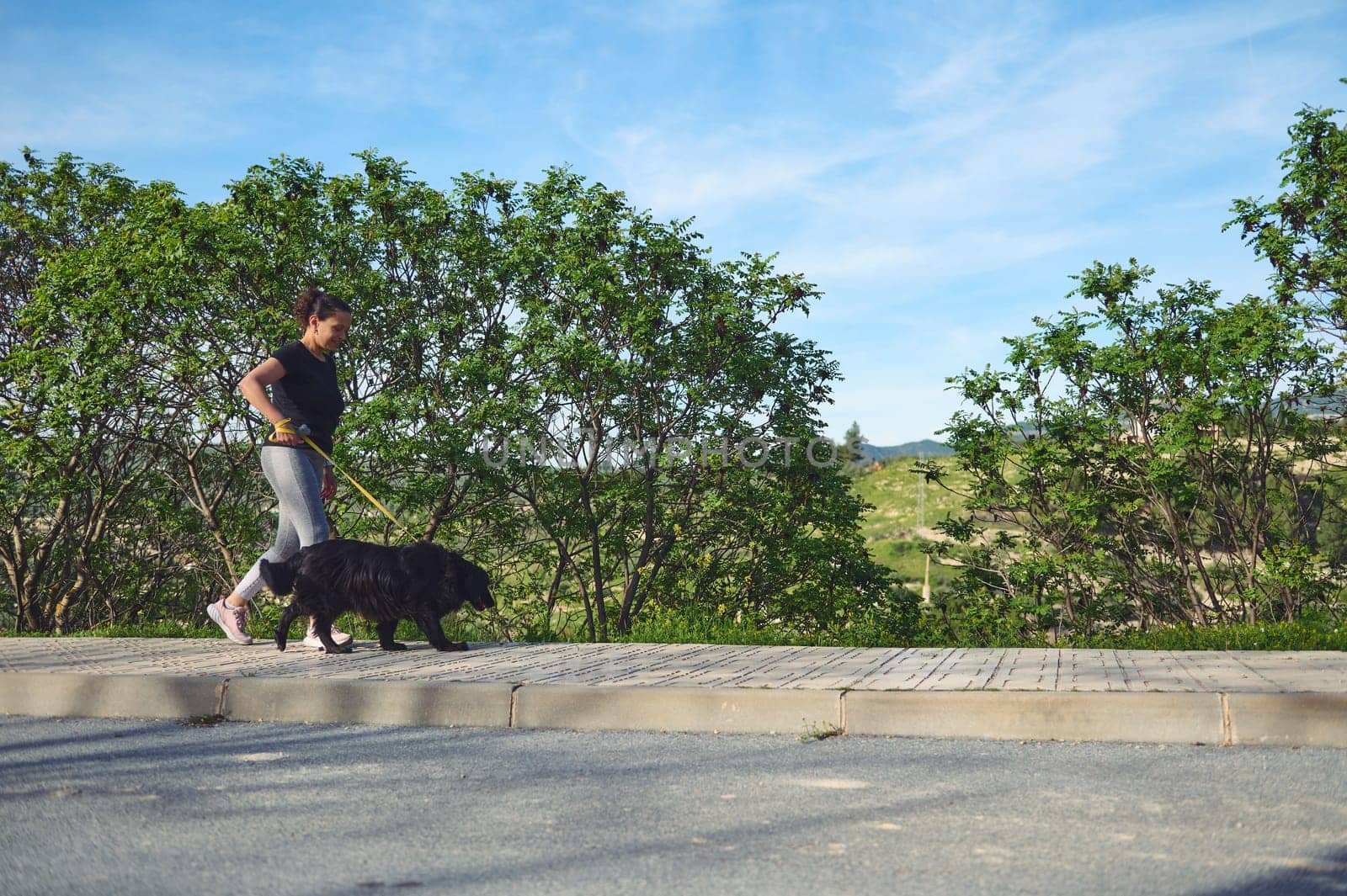 Young athletic woman is running with a dog, a cute black cocker spaniel on a leash in the summer time, sunny day in the mountains outdoors. Copy advertising space in nature