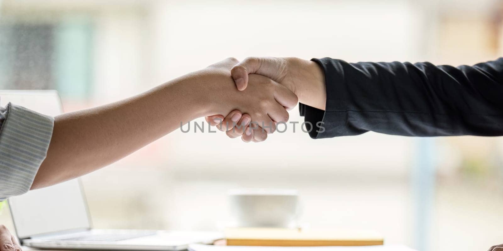 Two confident business woman shaking hands during a meeting in the office, success, dealing, greeting and partner concept.