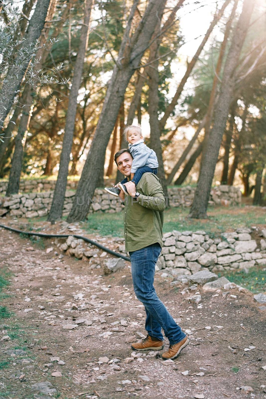 Dad with a little girl on his shoulders walks looking back along the path in the forest. High quality photo