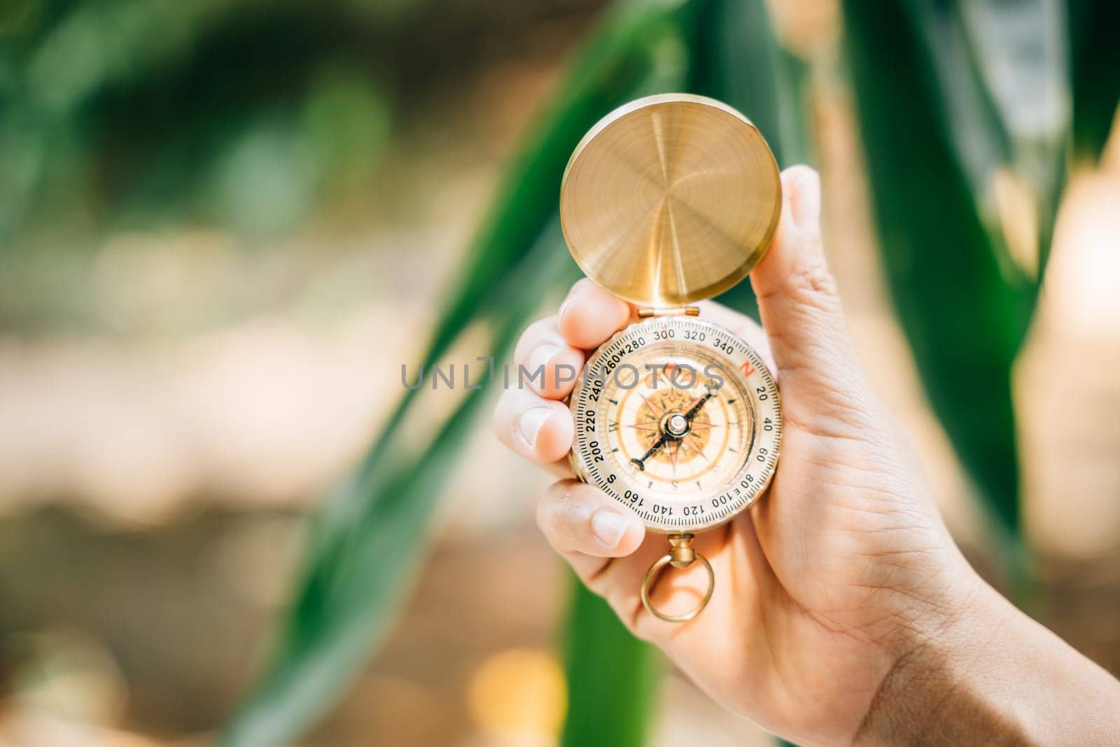 Embrace nature guidance with a hand holding a compass amidst a green forest backdrop. This image offers room for text and embodies the concepts of planning managing and achieving success in business. by Sorapop