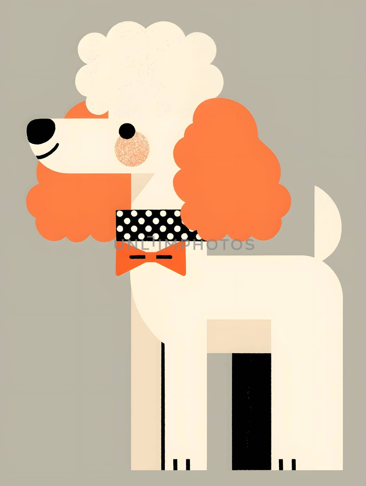 an illustration of a poodle wearing a bow tie by Nadtochiy