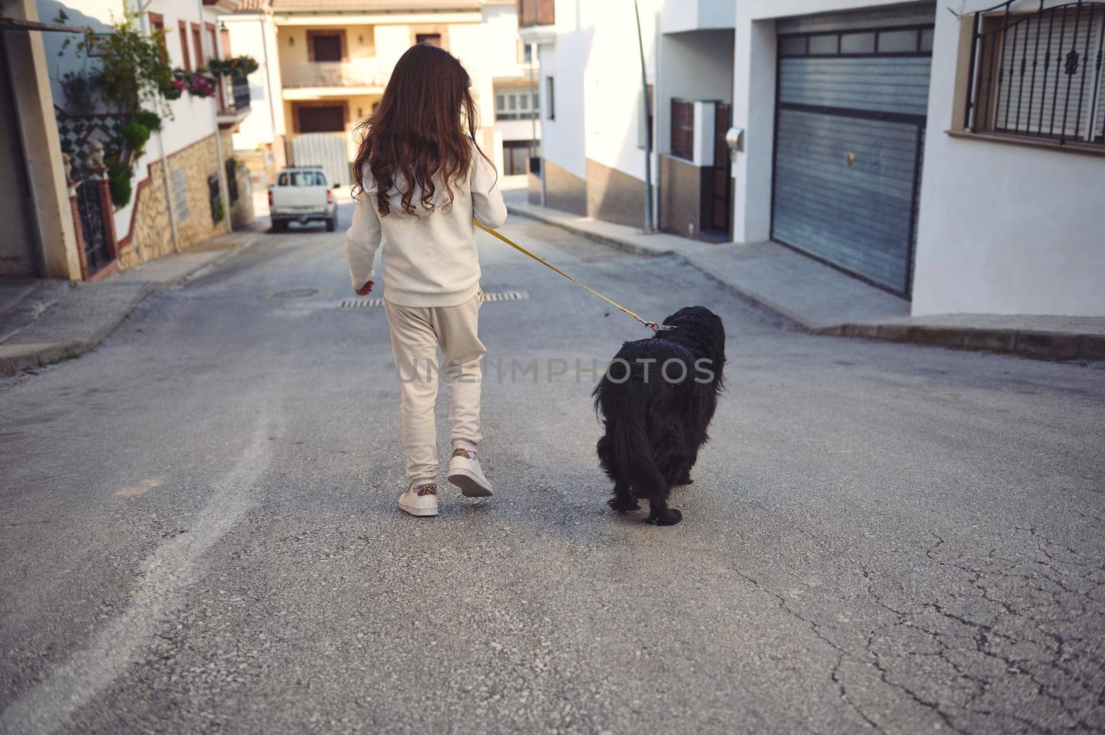 Rear view of a pretty little child girl walking her dog on leash on the street on sunny day. Black cocker spaniel pet being walked outdoors. People and animals concept