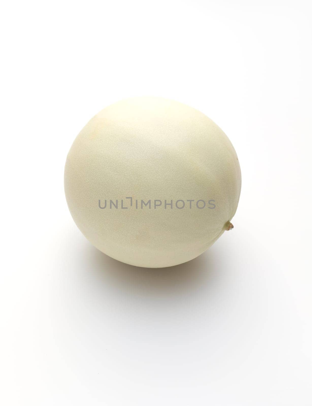 Isolated Organic Honeydew Melon On White Background, Cucumis Melo Inodorus Group. Ripe Nutritious Summer Juicy Fruit. Vertical Plane. Harvesting. High quality photo