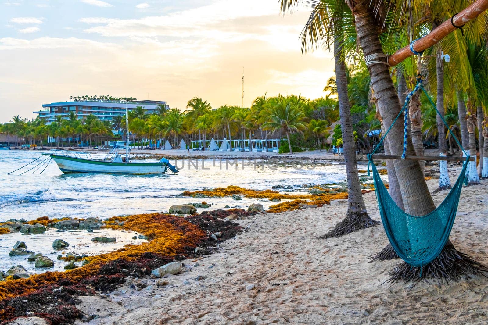 Hammock on a tropical paradisiacal beach in the Caribbean Mexico. by Arkadij