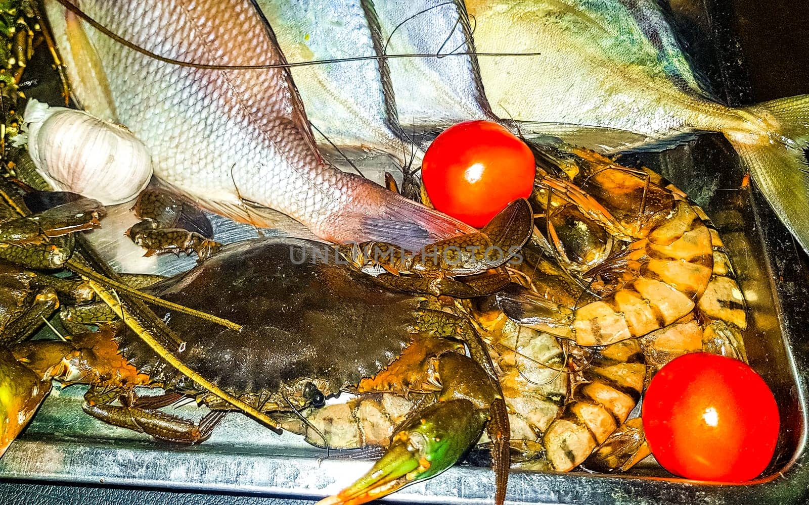 Lobster Shrimps Crabs Squid Seafood in Bentota Beach Sri Lanka. by Arkadij