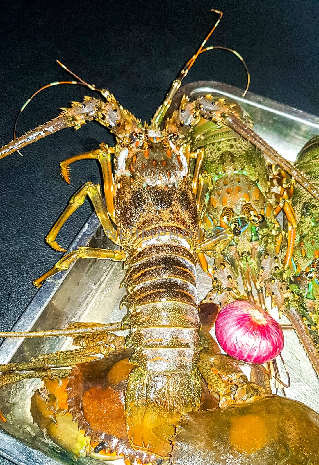 Lobster Shrimps Crabs Squid Seafood on plate in the hand in Bentota Beach Galle District Southern Province Sri Lanka.