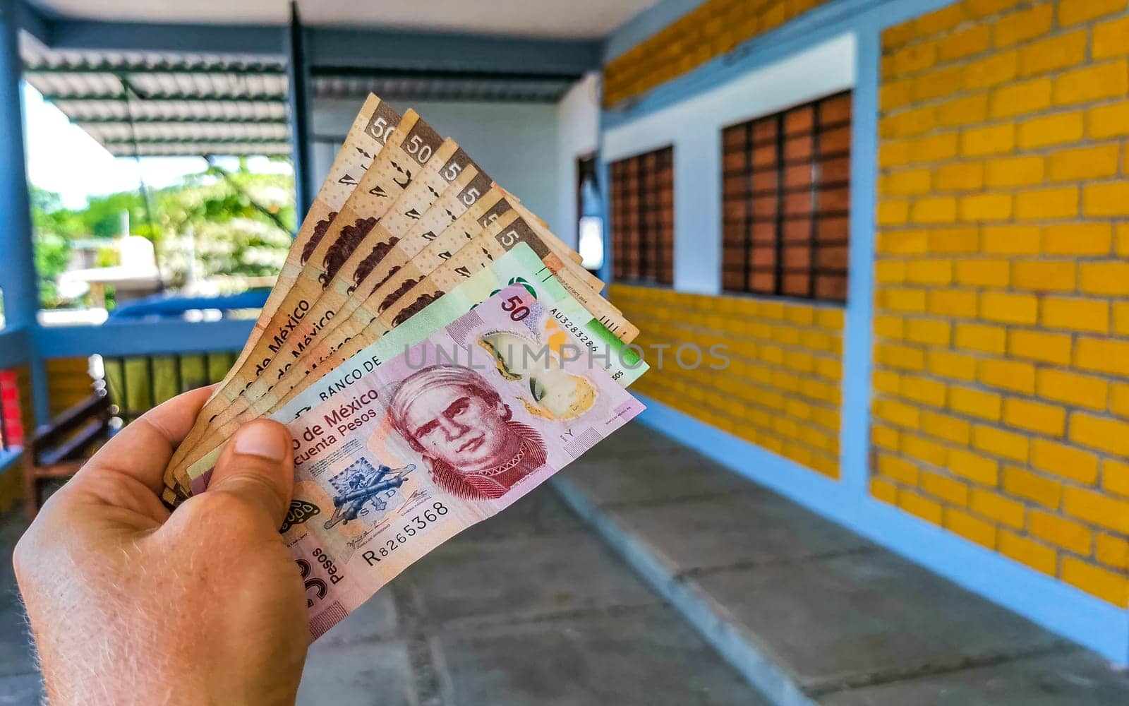 Money Mexican peso bills in hand in Puerto Escondido Mexico. by Arkadij