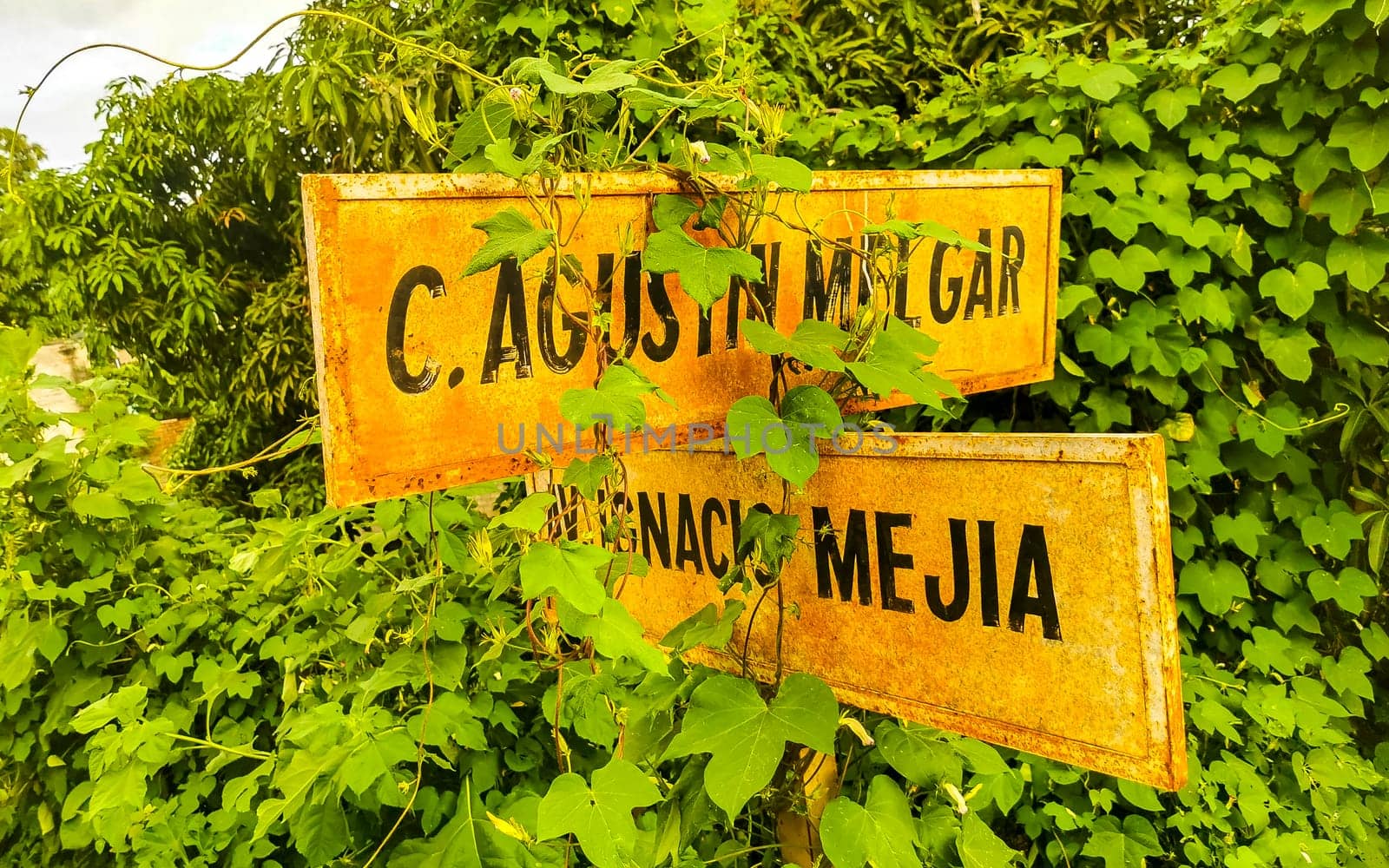 Yellow orange and white road street signs and name for orientation of streets and roads with blue sky in Zicatela Puerto Escondido Oaxaca Mexico.