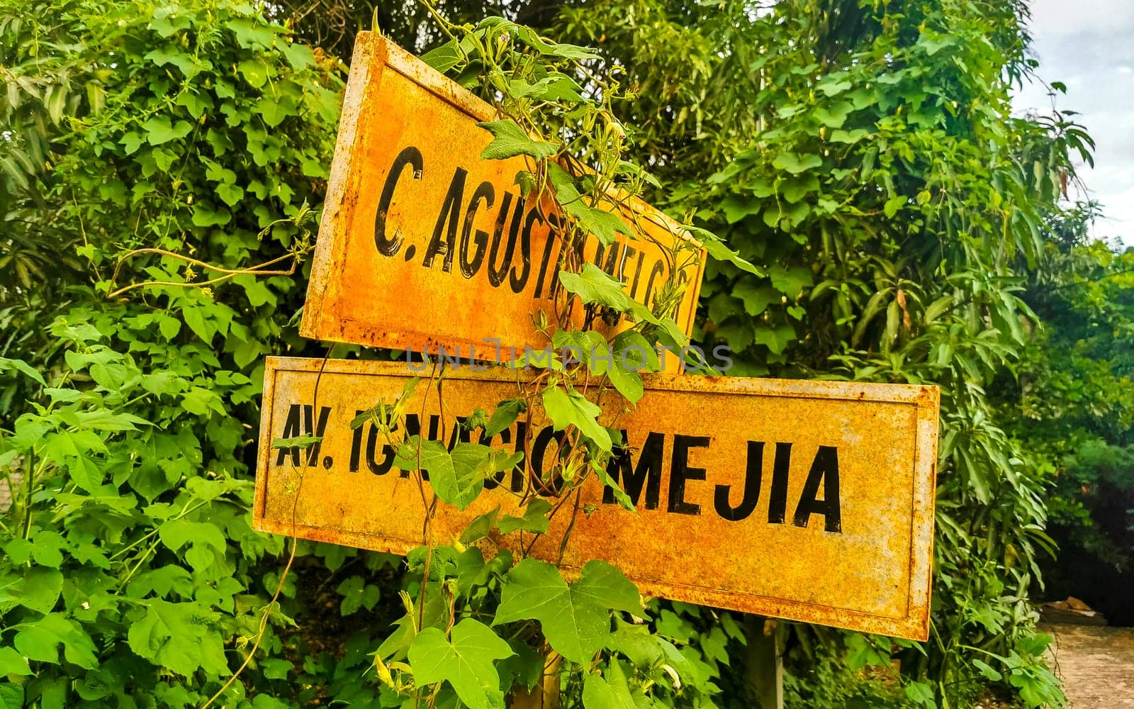 Yellow orange and white road street signs and name for orientation of streets and roads with blue sky in Zicatela Puerto Escondido Oaxaca Mexico.