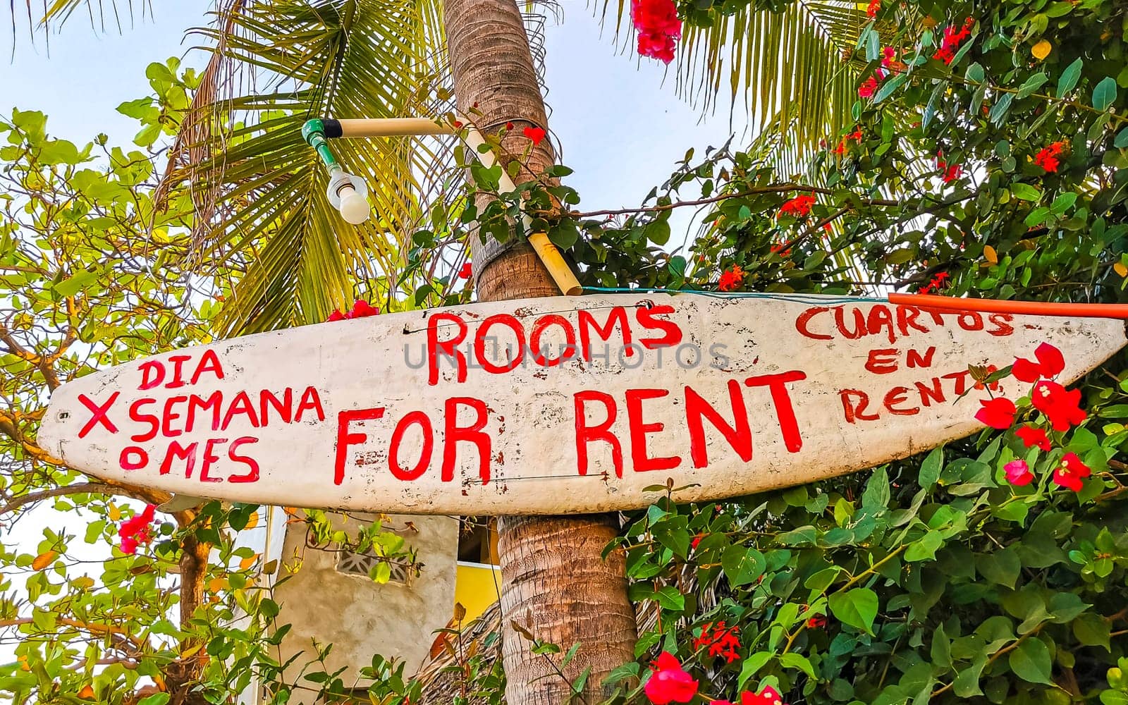 Advertising sign on surfboard surf board in Zicatela Puerto Escondido Oaxaca Mexico.