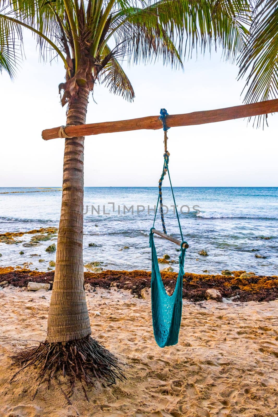 Hammock on a tropical paradisiacal beach in the Caribbean Mexico. by Arkadij