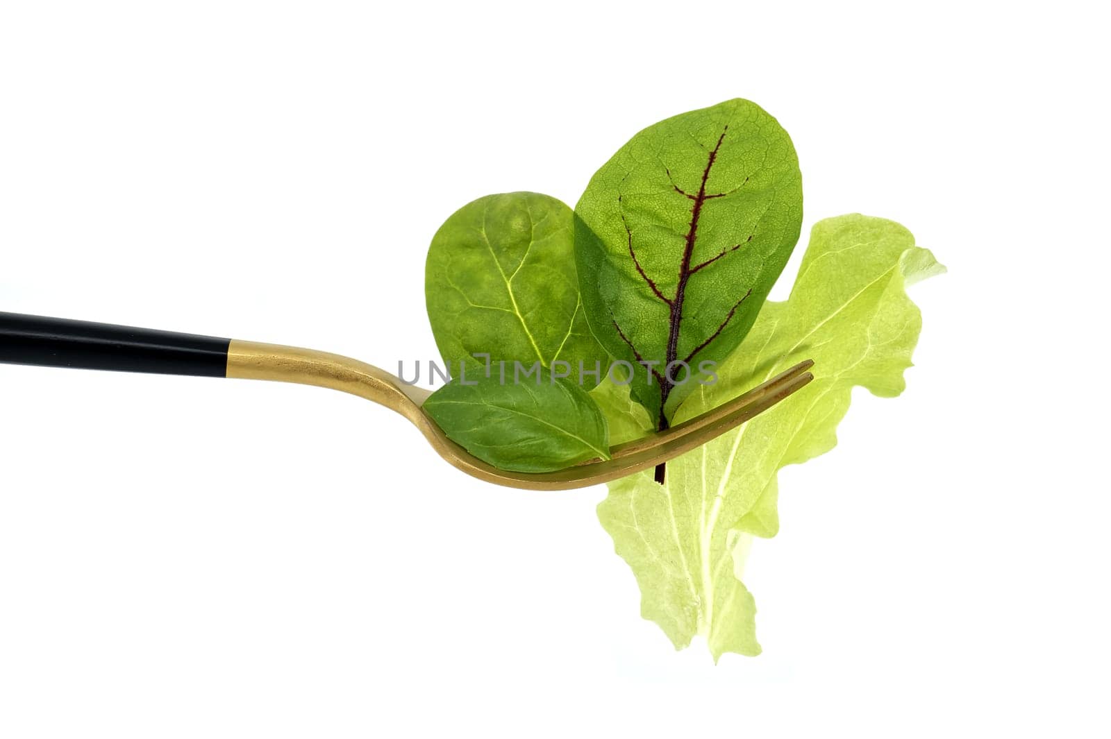 Simple and striking presentation of a spring lettuces leaves mix on a fork with a black handle against a pure white background, concept of healthy diet and organic food