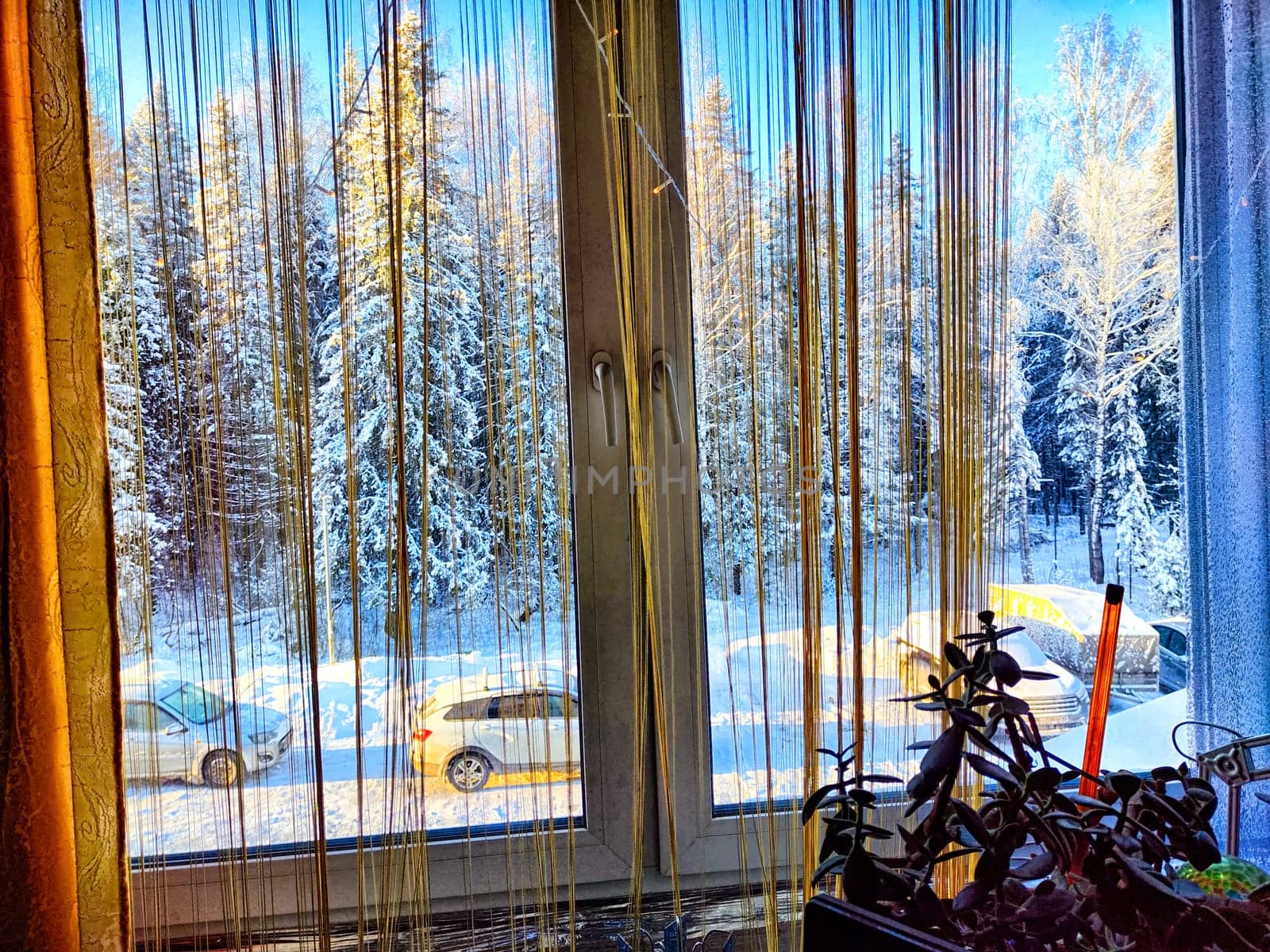 A tranquil view of snow-clad trees and a car outside a window with sheer curtains. Winter Wonderland View From a Cozy Room by keleny