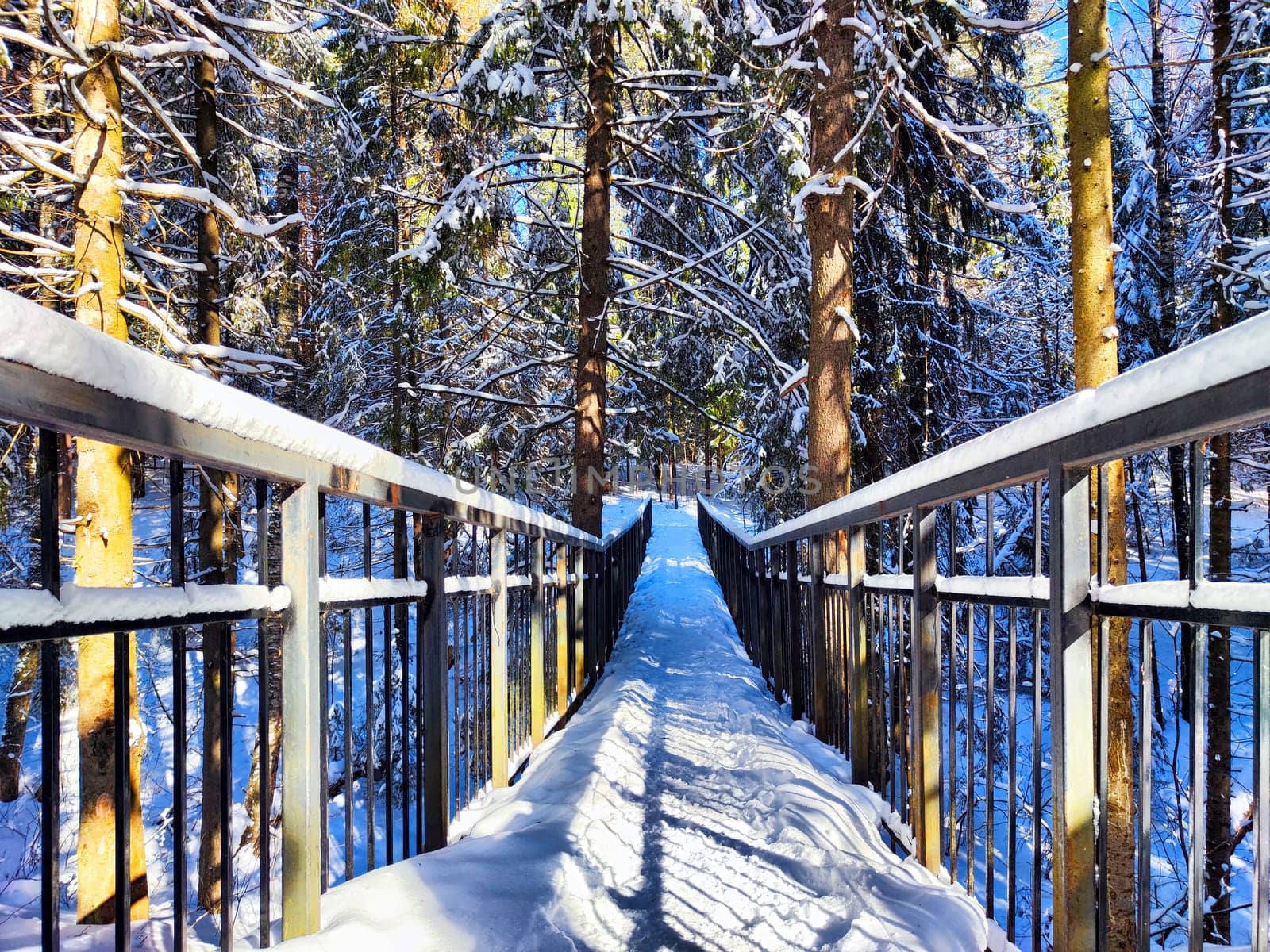 Snow-Covered Bridge in a Pine Forest on a Sunny Winter Day. A bridge blanketed with snow winds through a pine forest under clear blue sky