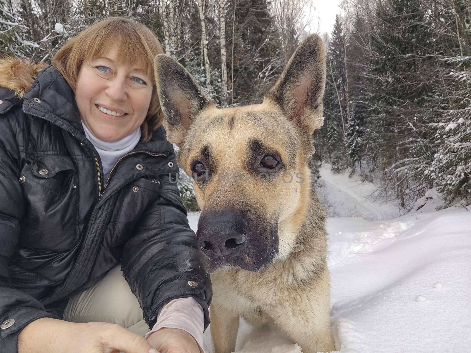 Adult girl with shepherd dog taking selfies in a winter forest. Middle aged woman and big shepherd dog on nature in cold day. Friendship, love, communication, fun, hugs by keleny