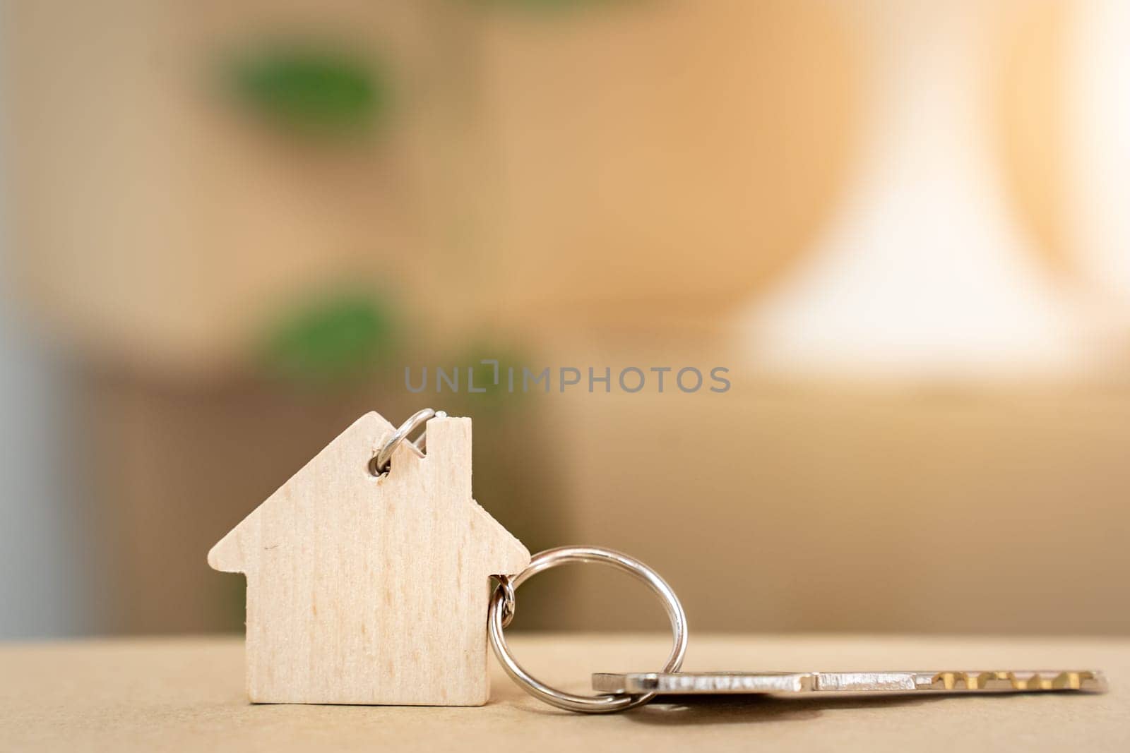 House keys on keyring in the shape of a wooden house with copy-space for text by PaulCarr