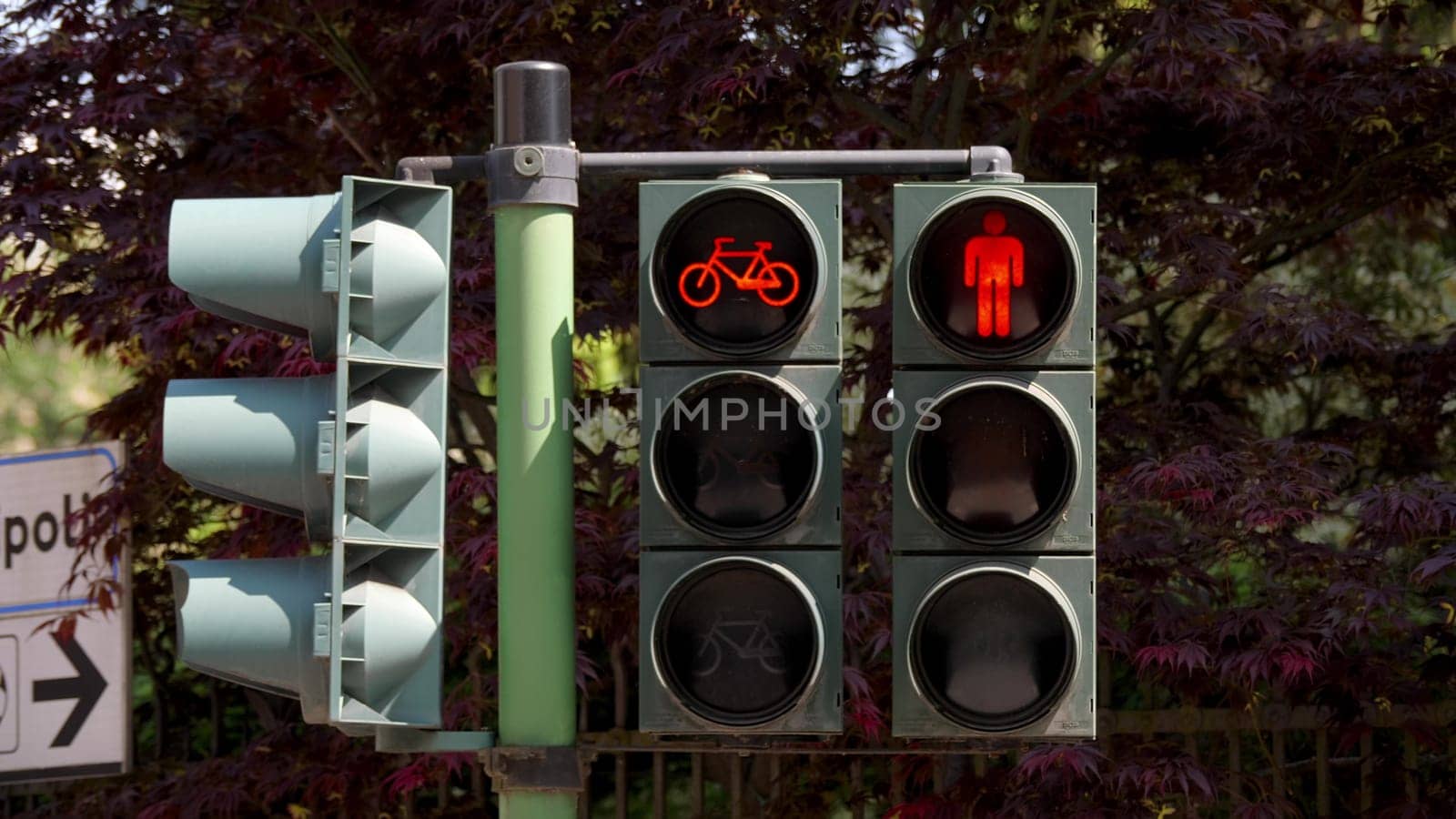 Showcasing a dual traffic light system designed for both cyclists and pedestrians, set against a backdrop of lush greenery. this image highlights urban planning and safety features in a modern city environment