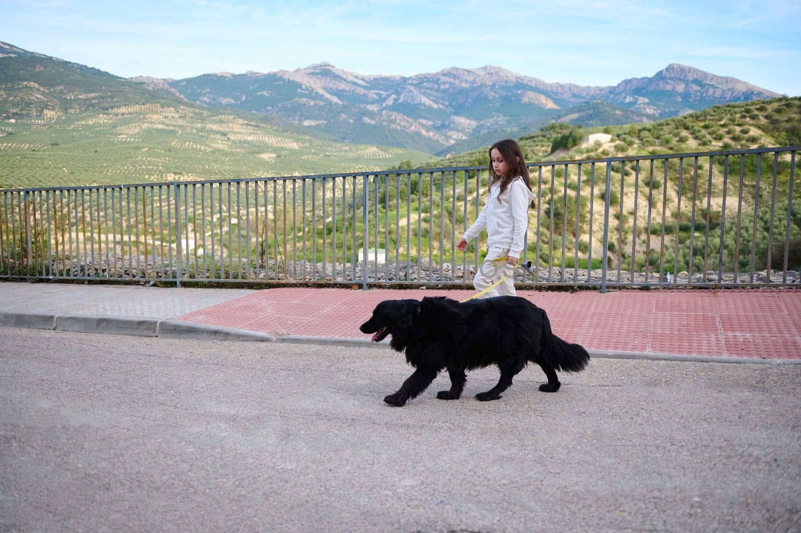 Side full length portrait of a beautiful kid girl walking her dog on leash on the nature in mountains on a sunny day by artgf