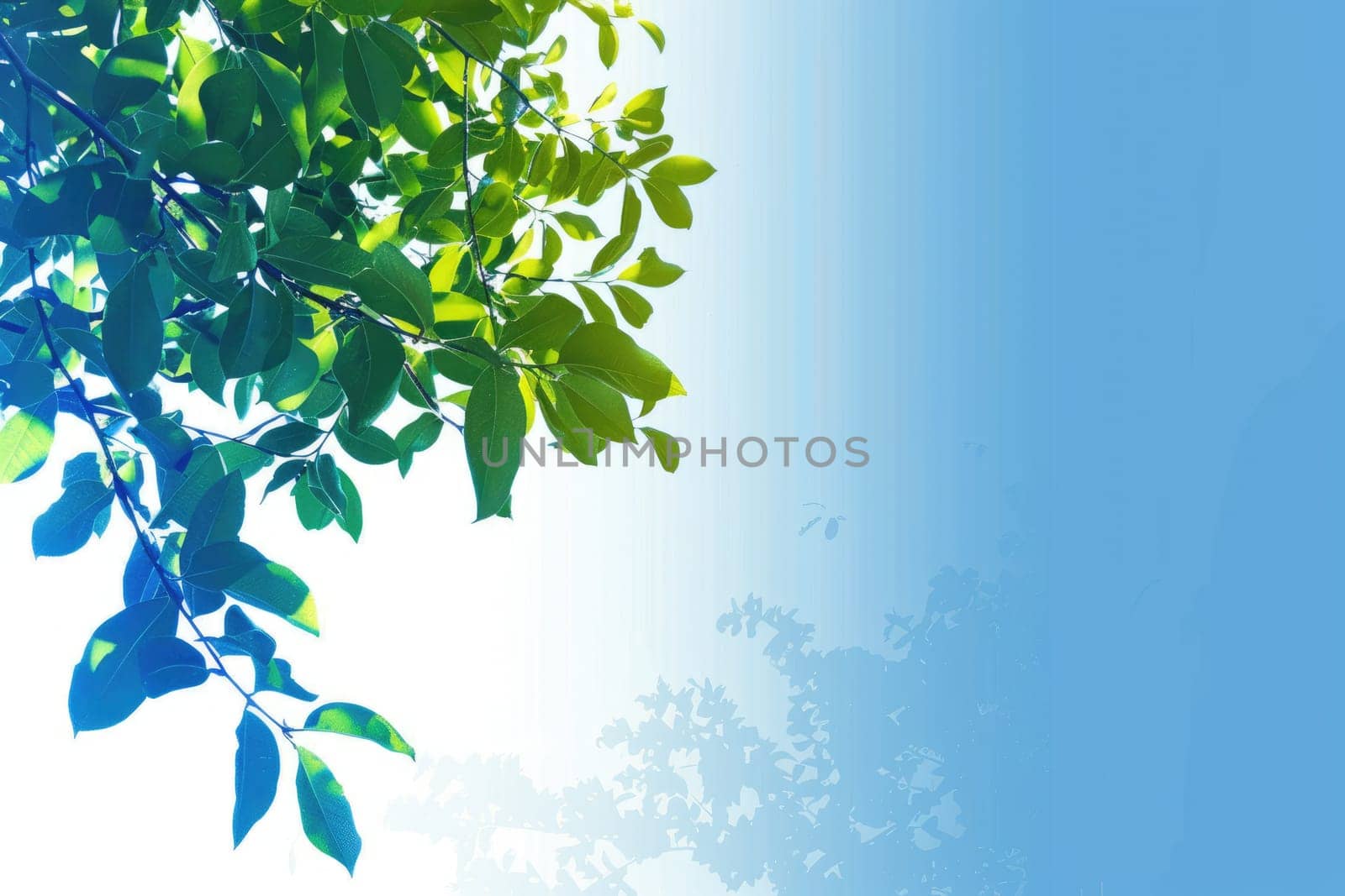 Green leaves with a blue background AIG51A.
