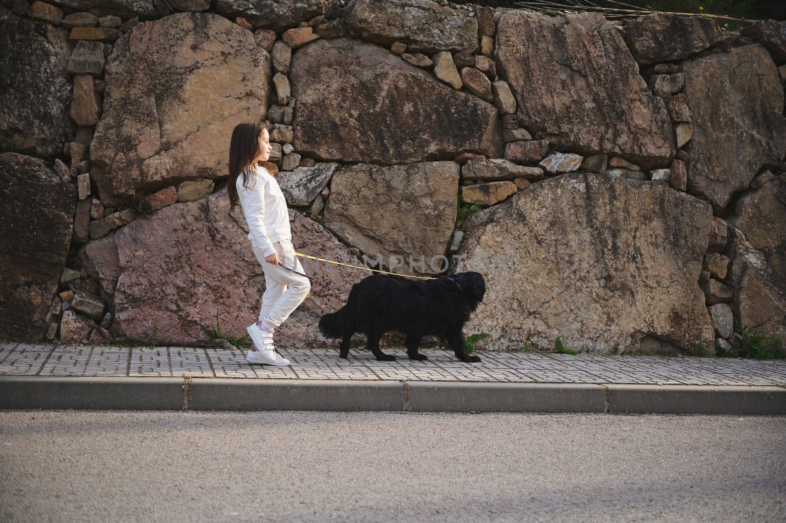 Full length portrait of a cute little child girl in sportswear, walking her dog on leash on the city street. People and animals. Playing pets concept by artgf