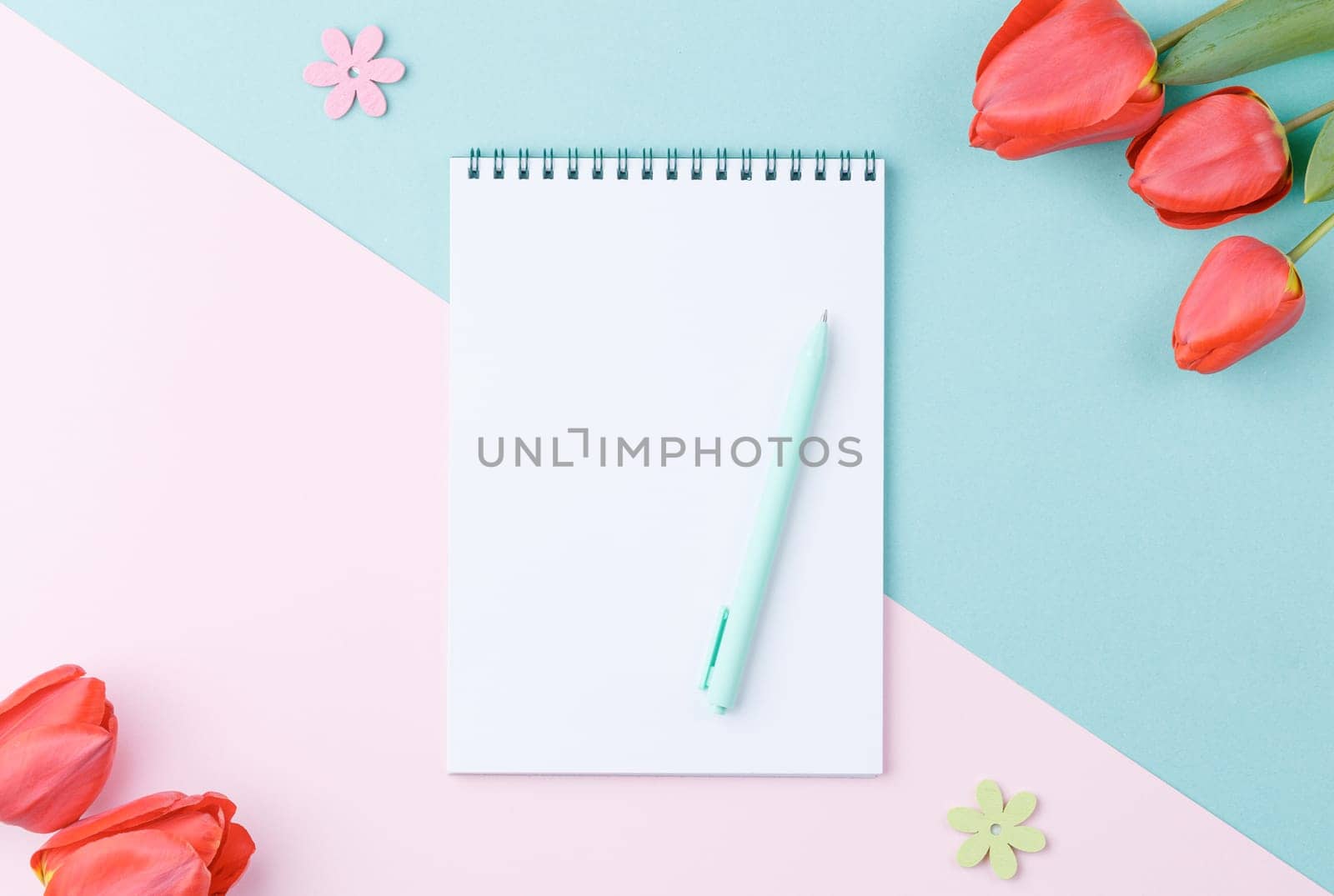 Open white spiral notebook with a pen and red tulip flowers on a two colour background. Top view. Spring concept.