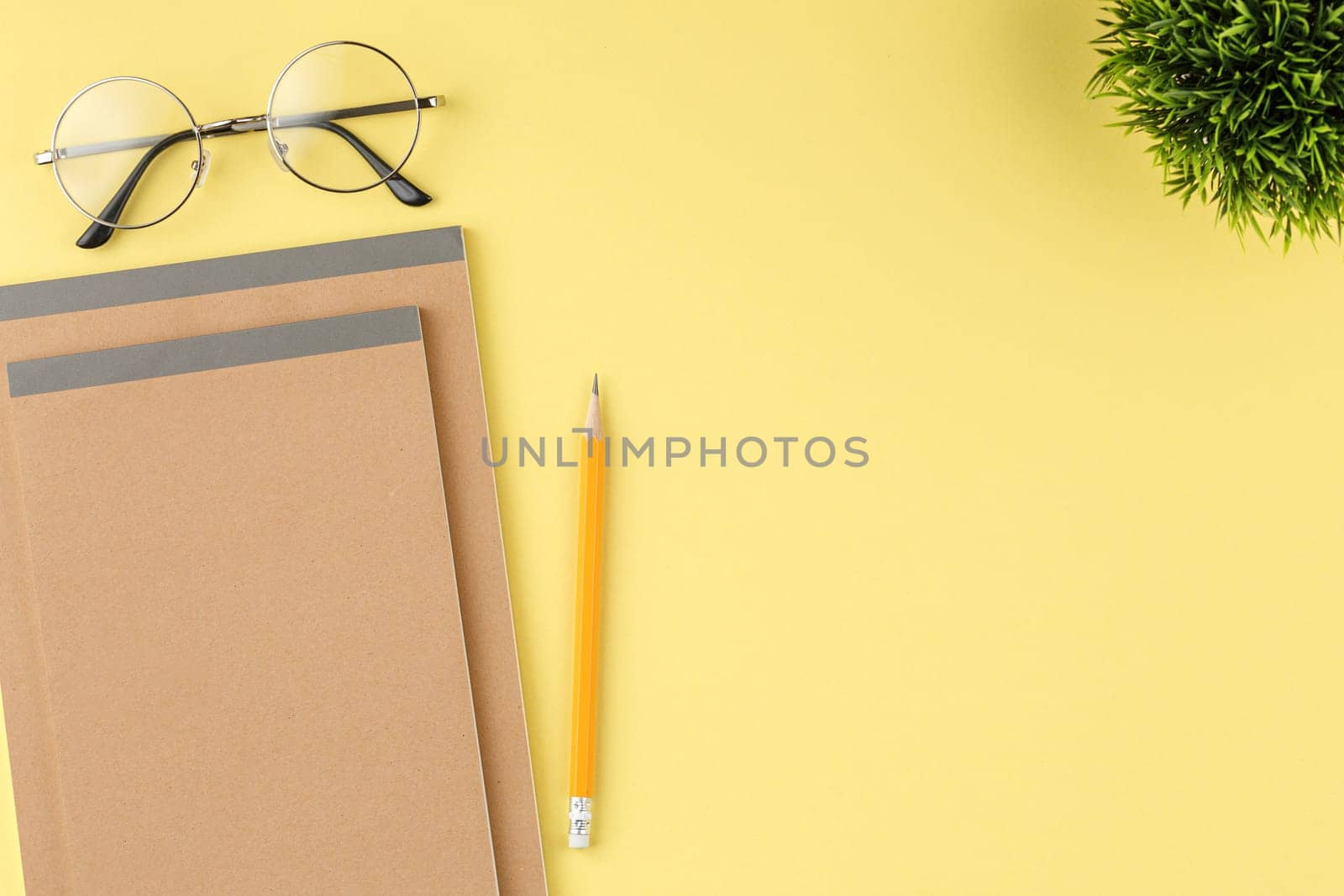 Craft notebook with a pencil, glasses and green plant on a yellow background. Top view.