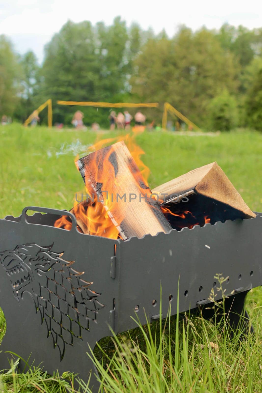 Firewood for barbecue is burning in the barbecue on the green grass in the park. High quality photo