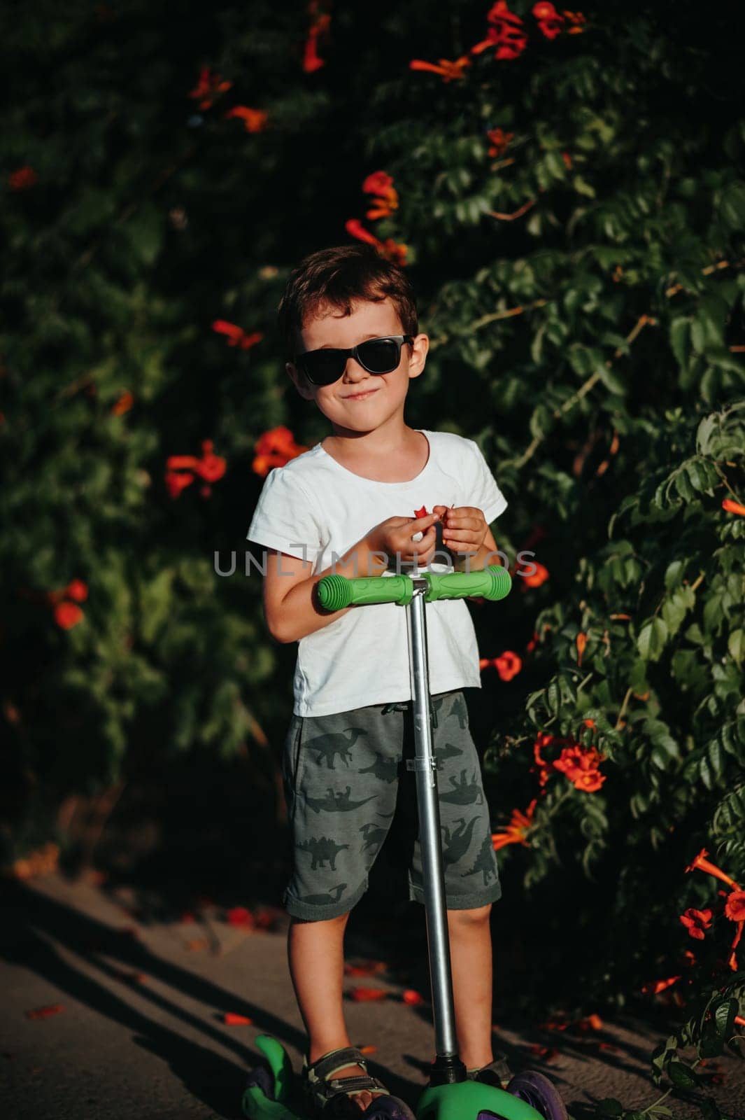 portrait of a preschool boy on a scooter in the summer in the park