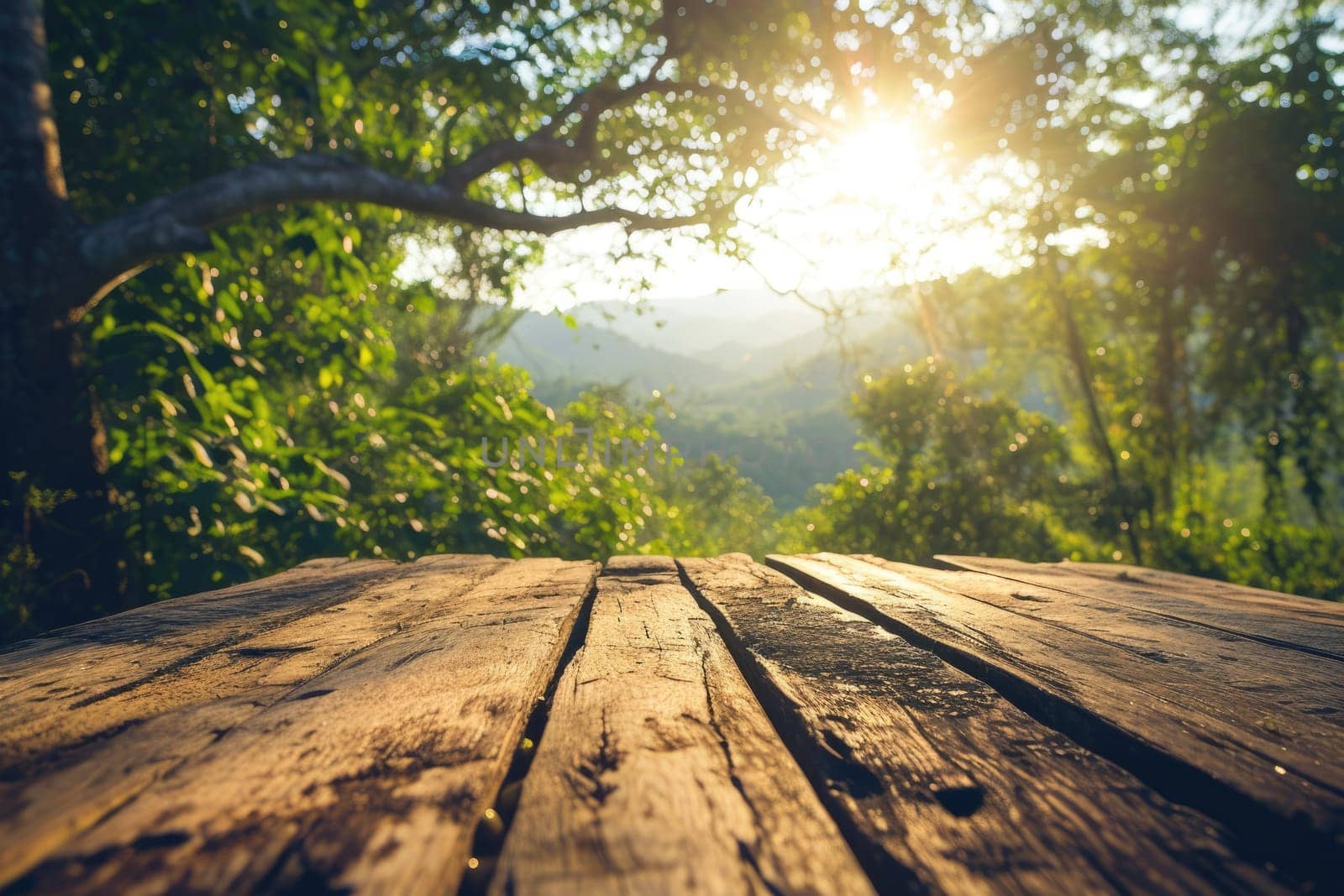 The picture of the wood table in the middle of the forest that surrounded with an uncountable amount of tree and plant in the forest with a bright light from the brightest sun of the daytime. AIGX03.