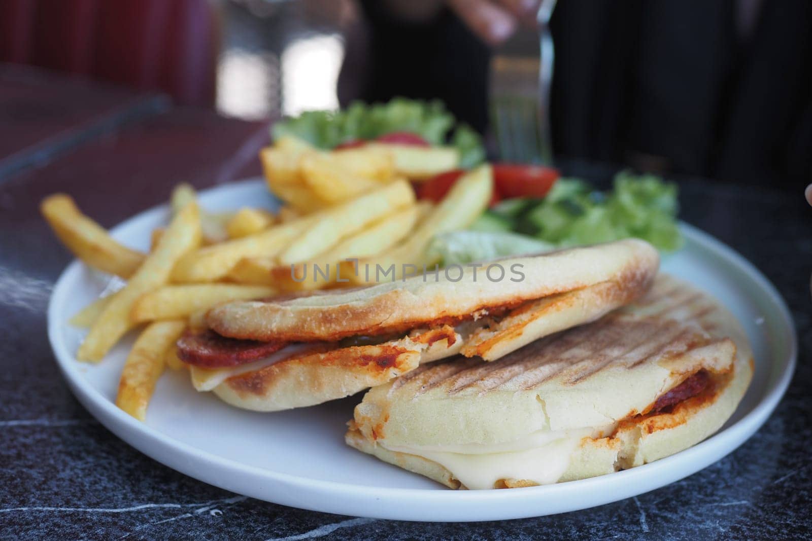 toast filled with salami sausage and cheese served with fries on a plate by towfiq007