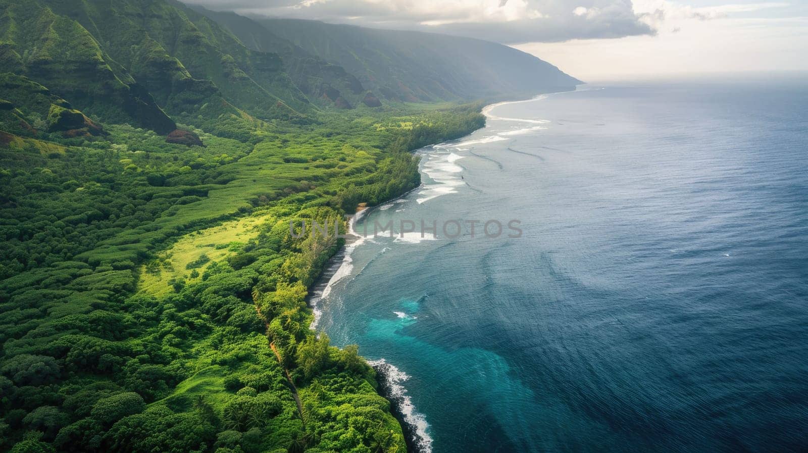 A breathtaking aerial view of a cliff above the ocean with stunning natural landscape, water merging with the sky, and terrestrial plants lining the beach AIG50