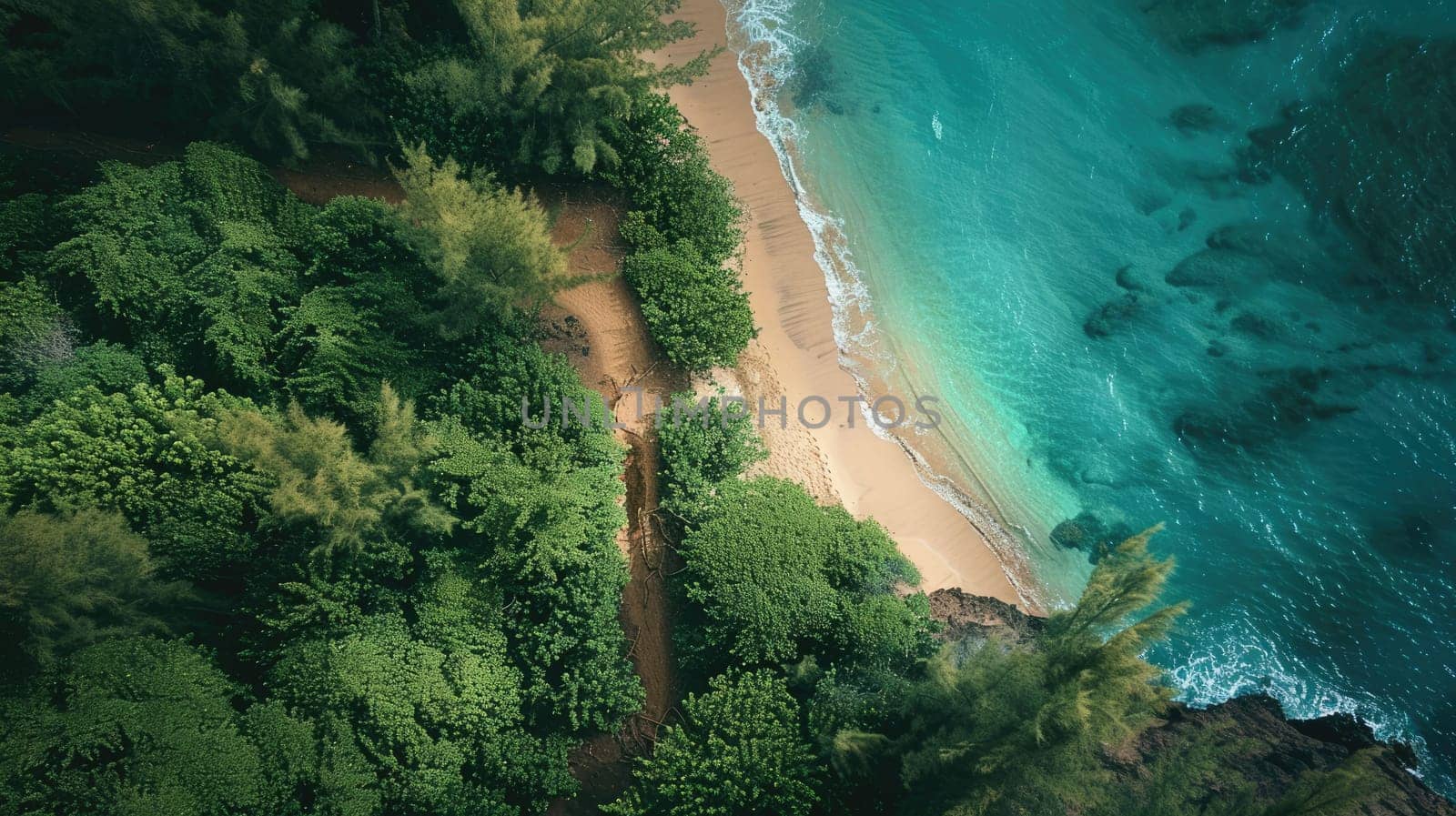 A natural landscape with a beach, trees, and water forming a serene view from above, showcasing the beauty of nature and fluvial landforms AIG50