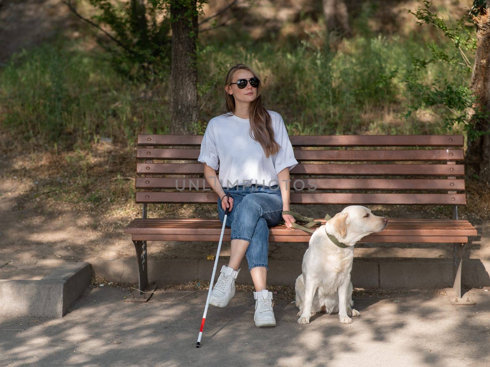 Blind caucasian woman sitting on bench with guide dog. by mrwed54